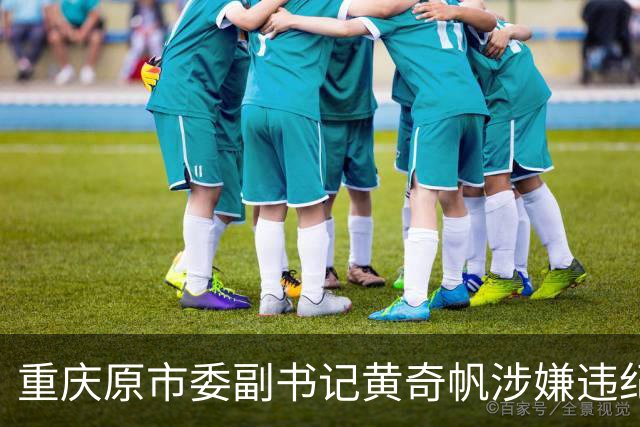 重庆原市委副书记黄奇帆涉嫌违纪调查深度剖析